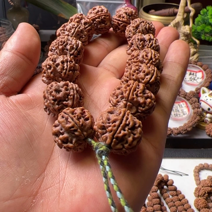 金刚菩提手串22平头粗筋双龙