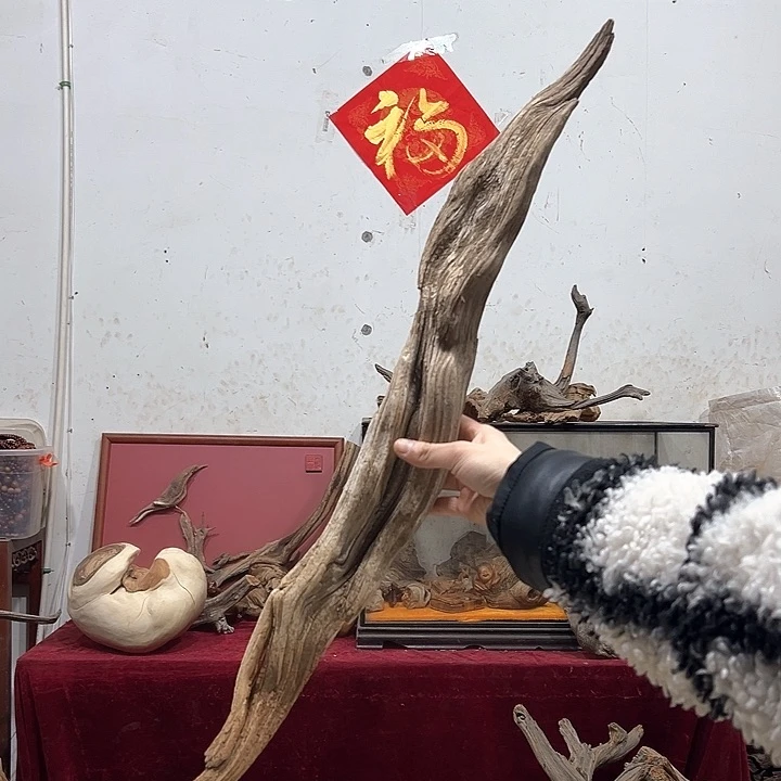 柏木不**问我们的生活也是如此