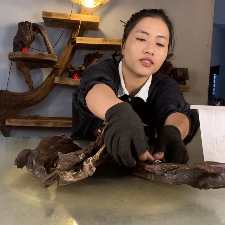 解***叔天然的云南紫柚木会黄水