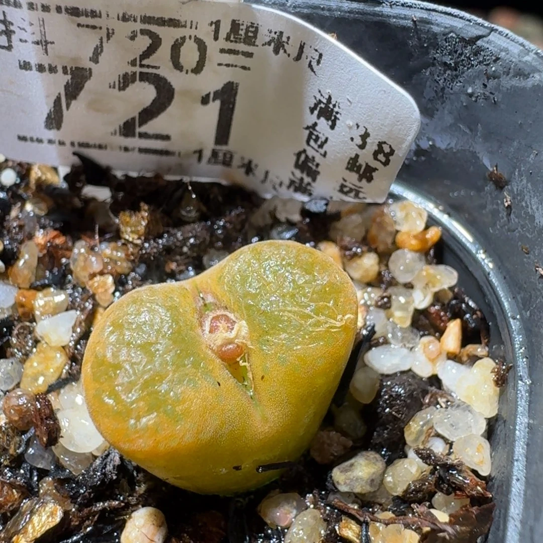 SSss精品清仓了721