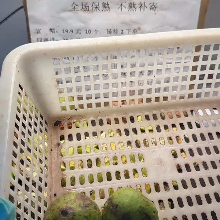 吊坠文玩核桃蛤蟆头小2颗