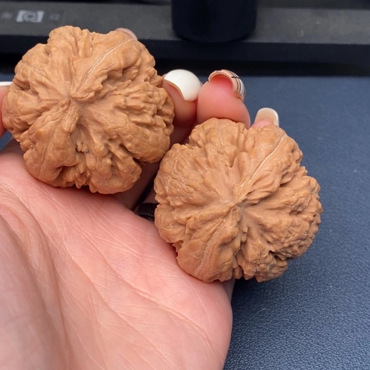 A***z霸王龙全品无刀休