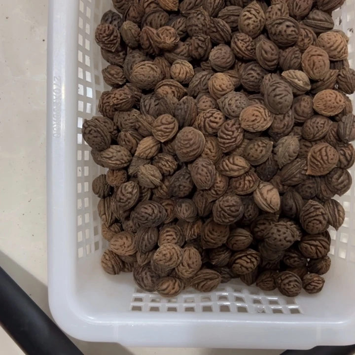 核桃手串/手链桃核 手串雕刻雕刻料