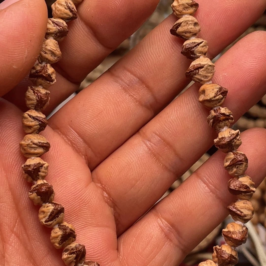 手串柏香籽/百香籽1*