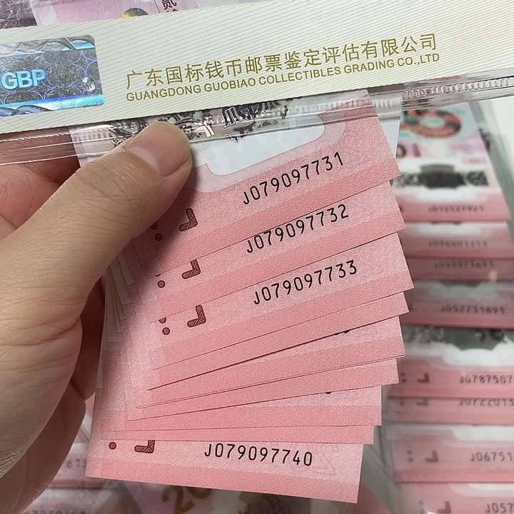 塑料 蛇四十连079097731-40