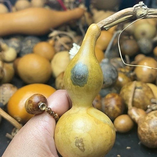 ꧁**꧂葫芦葫芦葫芦葫芦