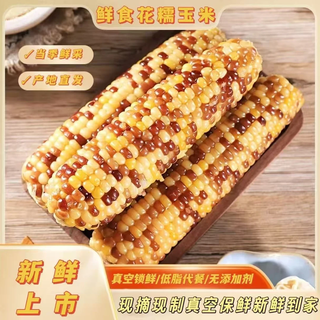 （整箱10根）试吃4根花糯玉米真空包装营养代餐粗粮饱腹
