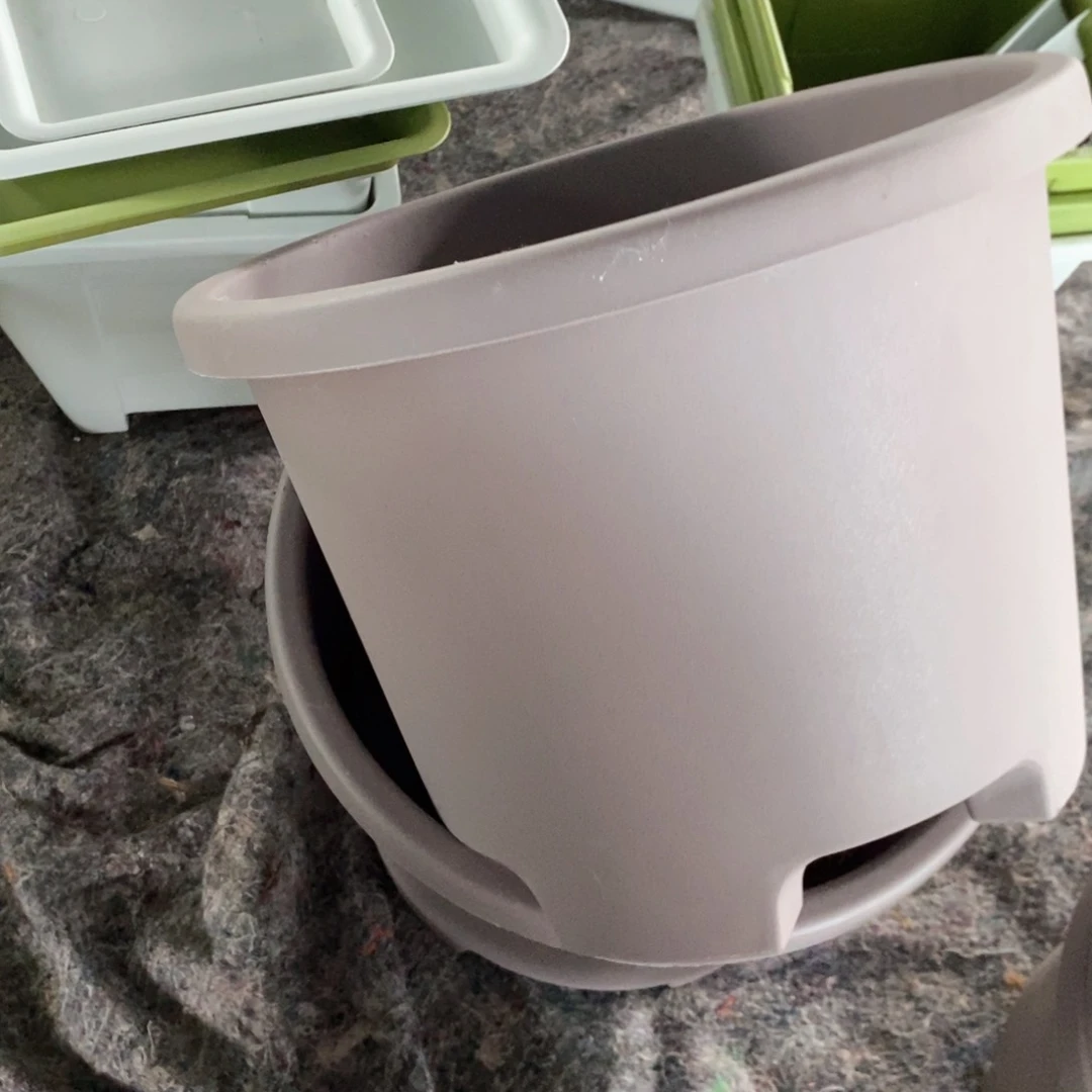 平****康7级福利2个17口无