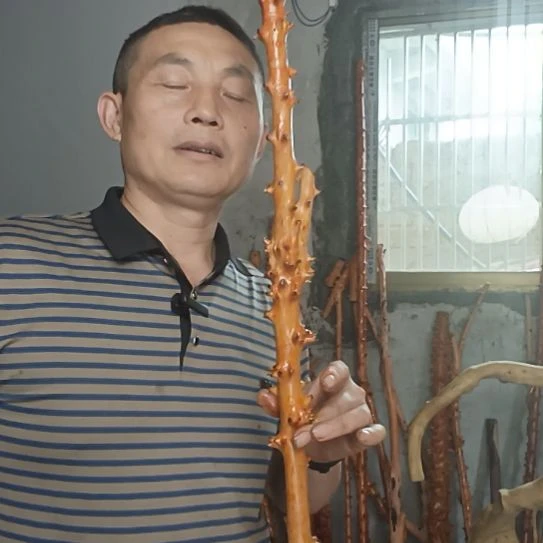 易***程稳定木高山 檬子木文玩料