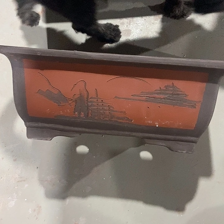 40花盆花盆花盆花盆花盆花盆