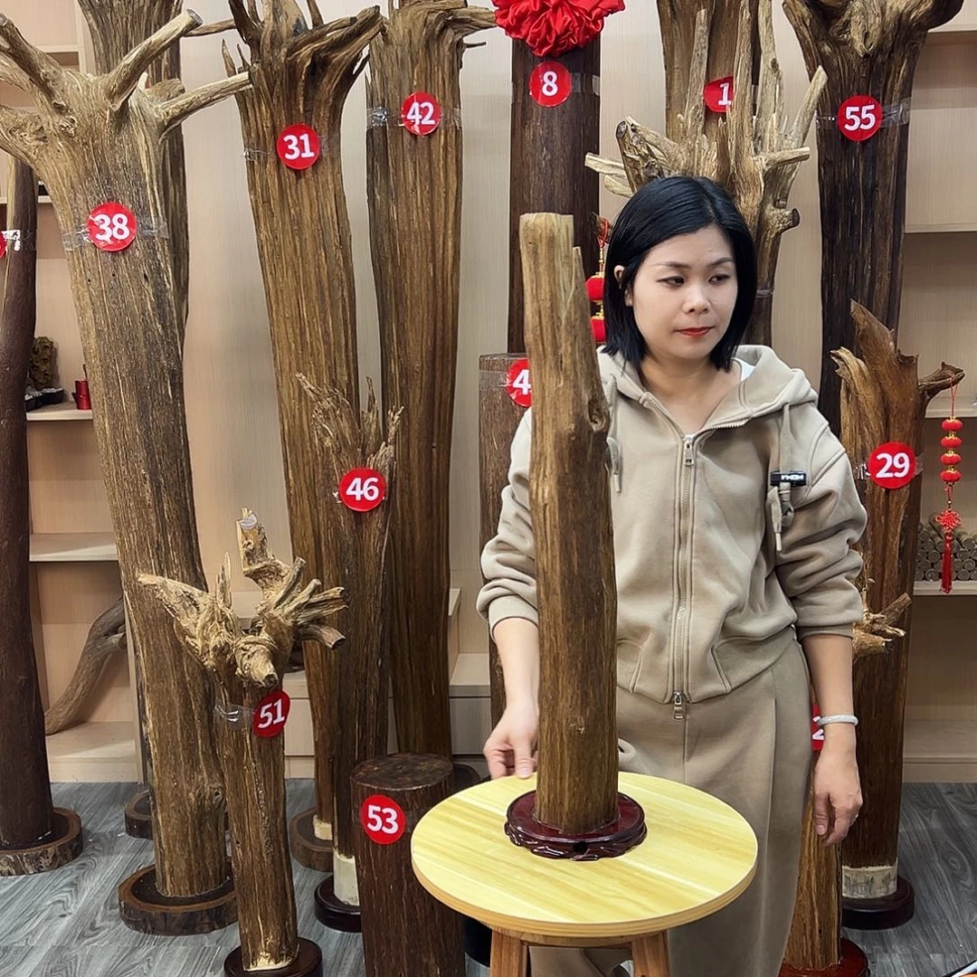 沉香碎屑沉香沉香