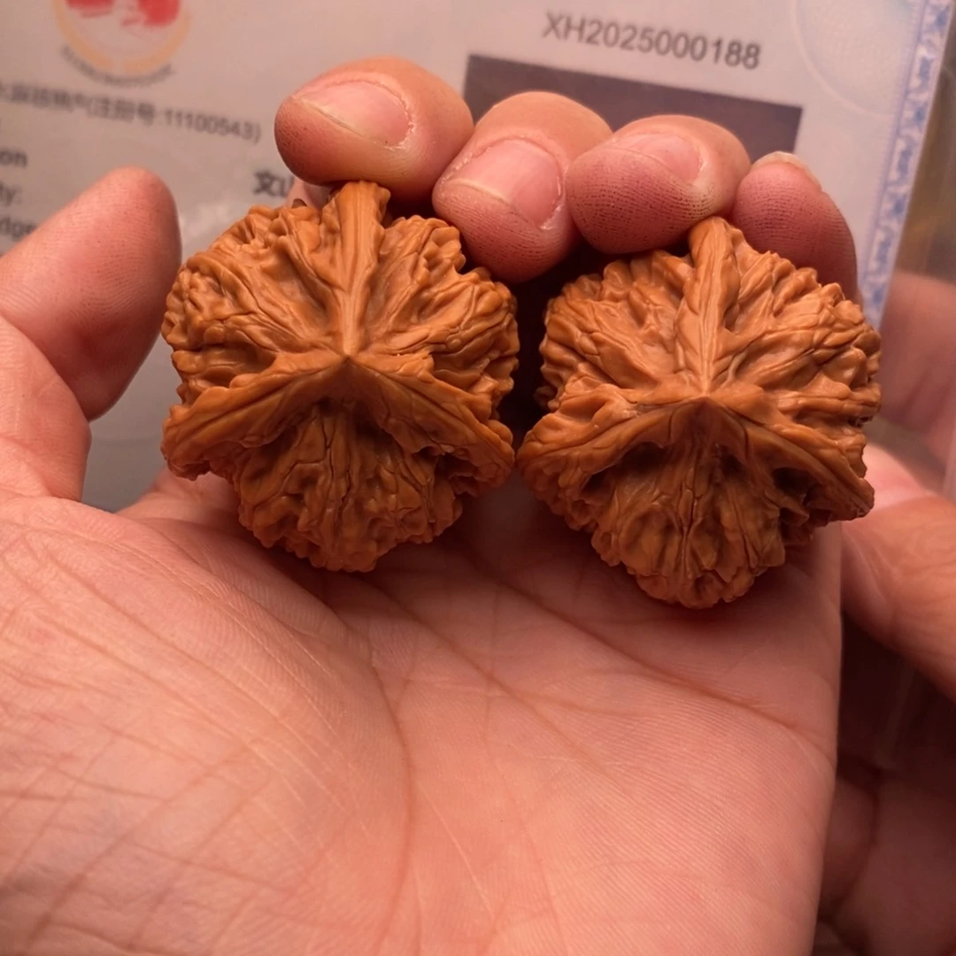 文玩核桃把件玉龙奔36