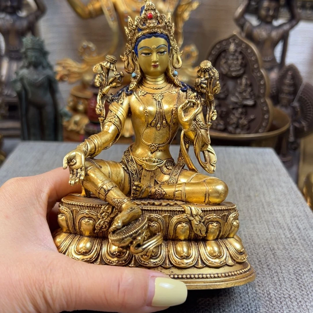 ?****46897337886556789999