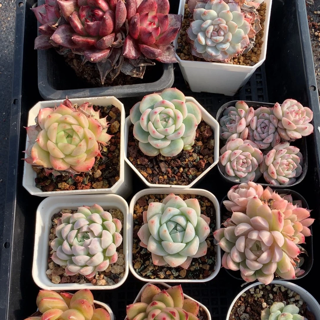 1214-06 套餐一组