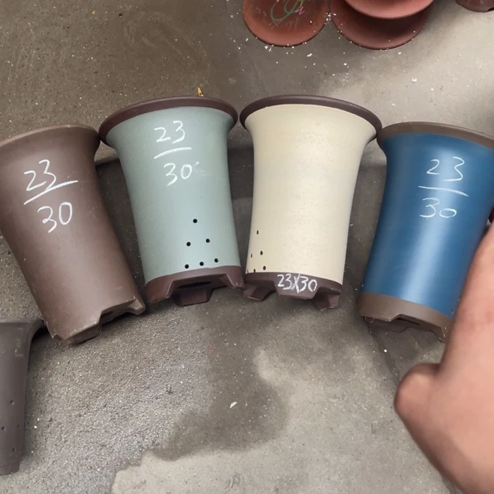 周深周深周深周深周深