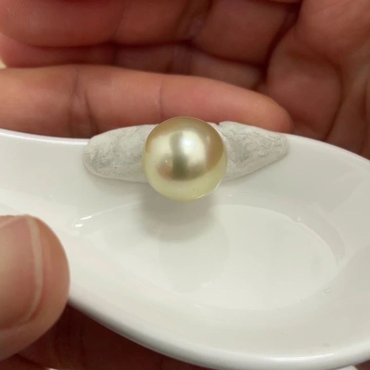 海水珍珠裸珠13.6mm炫彩干枯金珠