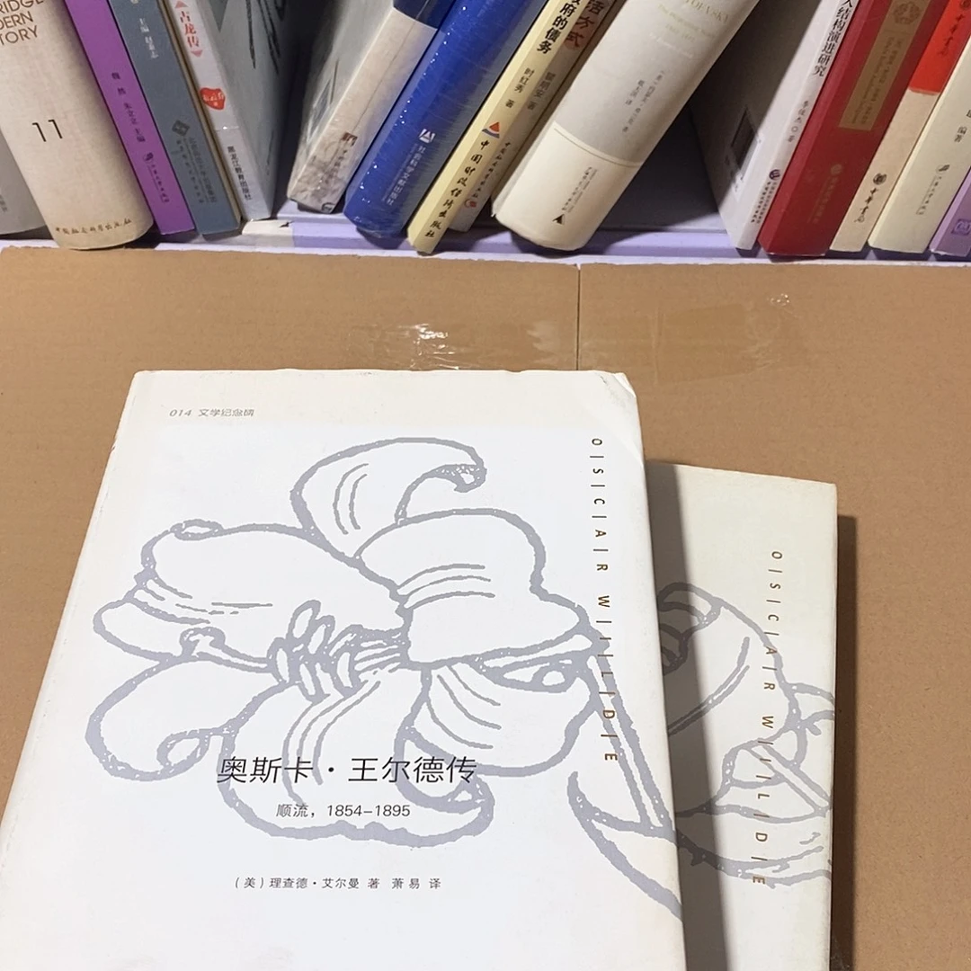 瑕疵旧  王尔德  上下