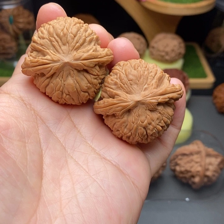 把件文玩核桃淡**思白狮子42
