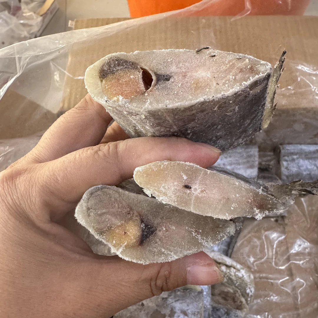 福建特产带鱼段去头去尾微咸