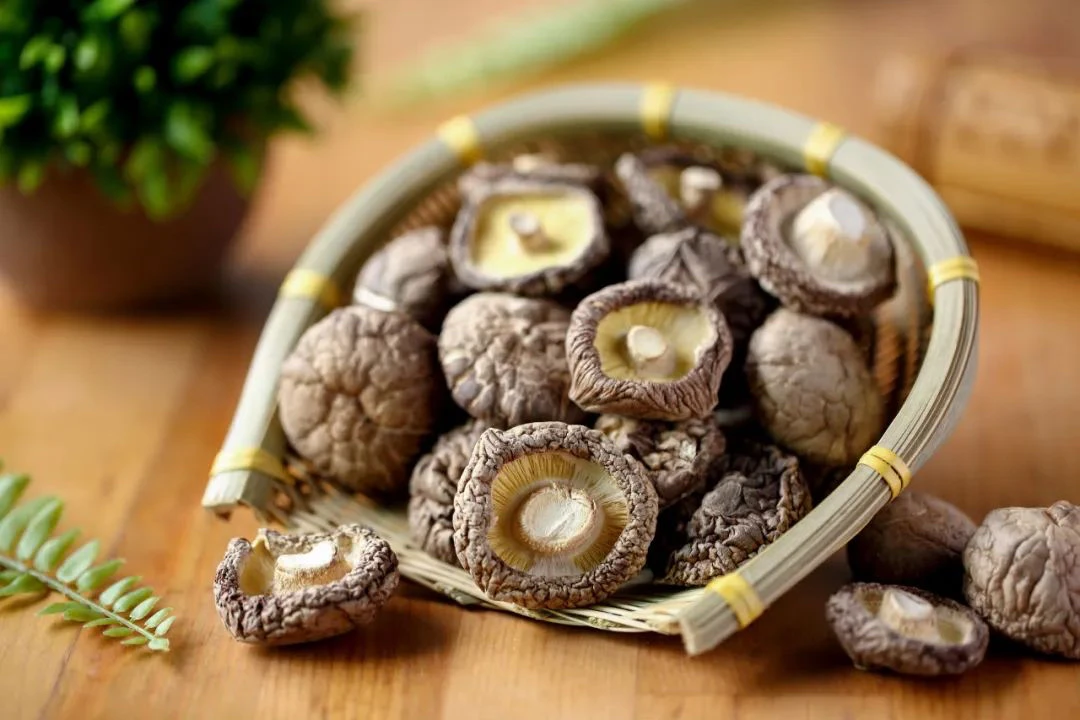 大俄土特产链接香菇