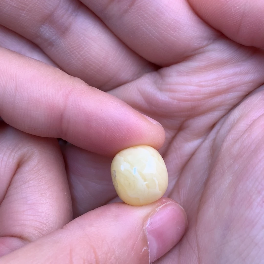 琥珀未镶嵌裸石蜜蜡13