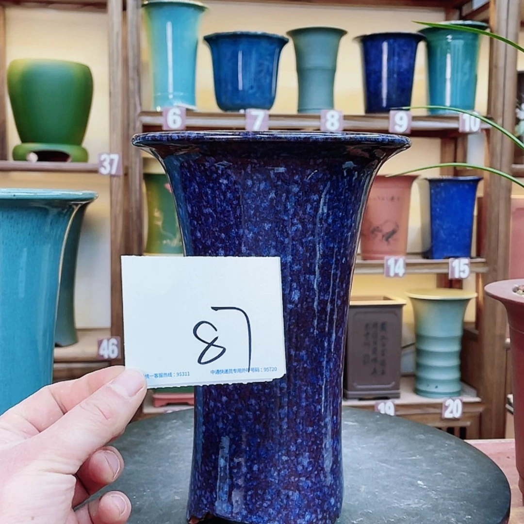 【闪购商品】紫砂花盆s**布兰花943466484846464997