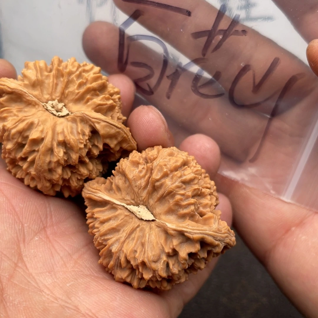 核桃手串/手链W683864468368357375753