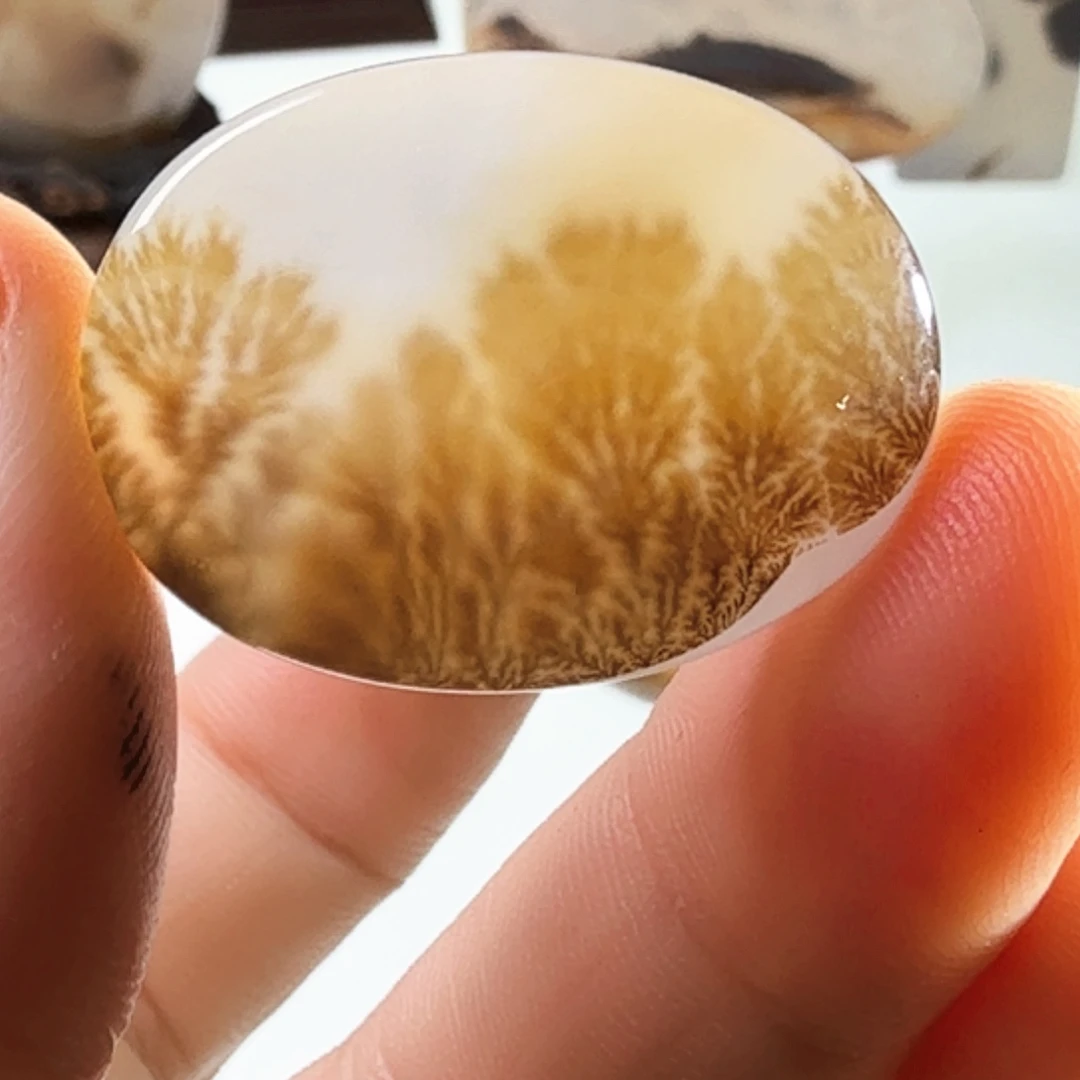 未镶嵌玛瑙/玉髓珠宝半成品