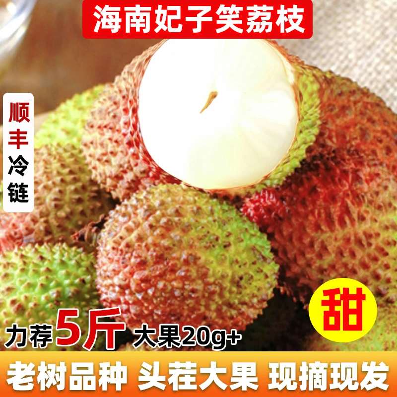 2025海南头茬妃子笑荔枝新鲜采摘现摘现发产地冷链直发