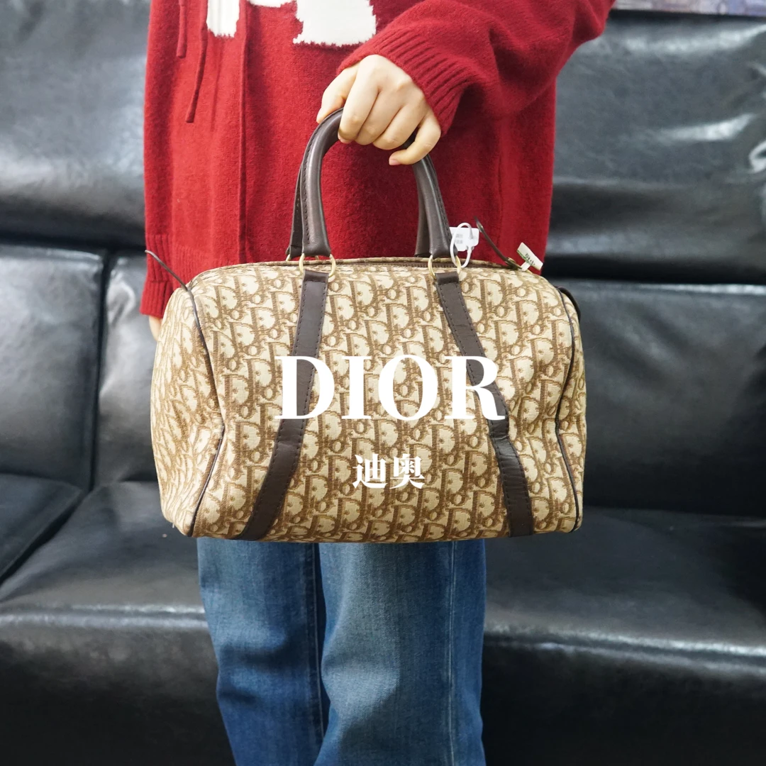 95新 DIOR/迪奥 老花枕头包/ZD01821013/1013