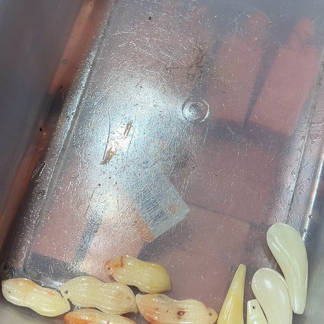 寿山石漠***织寿山石批发
