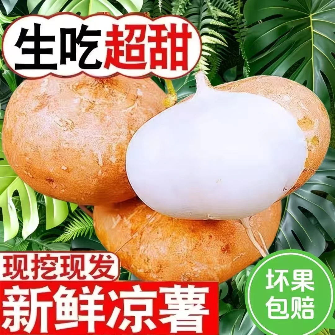 贵州特产凉薯地瓜应季水果地土瓜大果沙葛新鲜凉薯大果