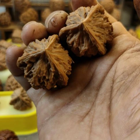 木质类盘山三棱核桃