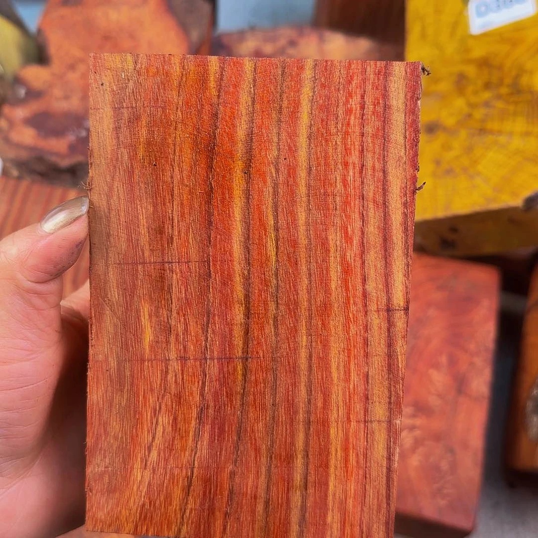 木富*小叶羊蹄甲彩色纹理