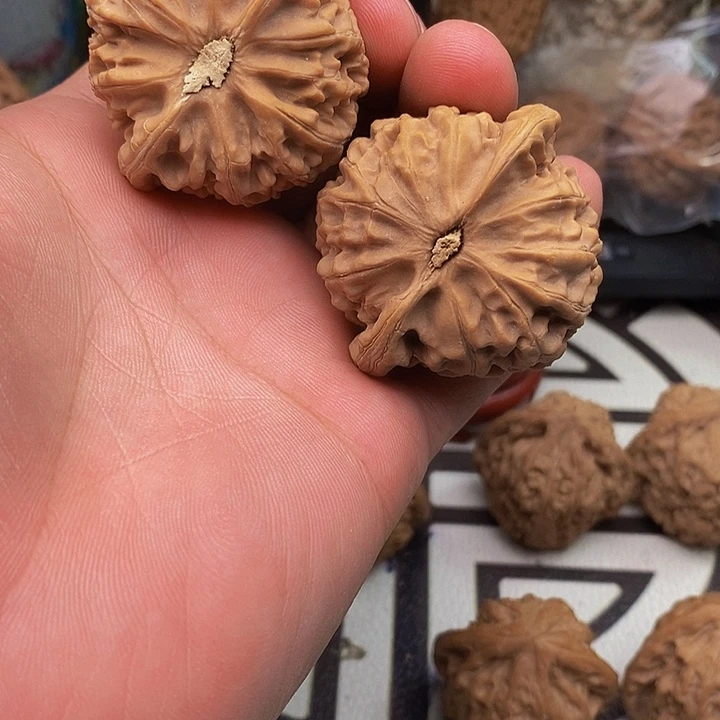 桃核把件狼***甘宫灯狮子头