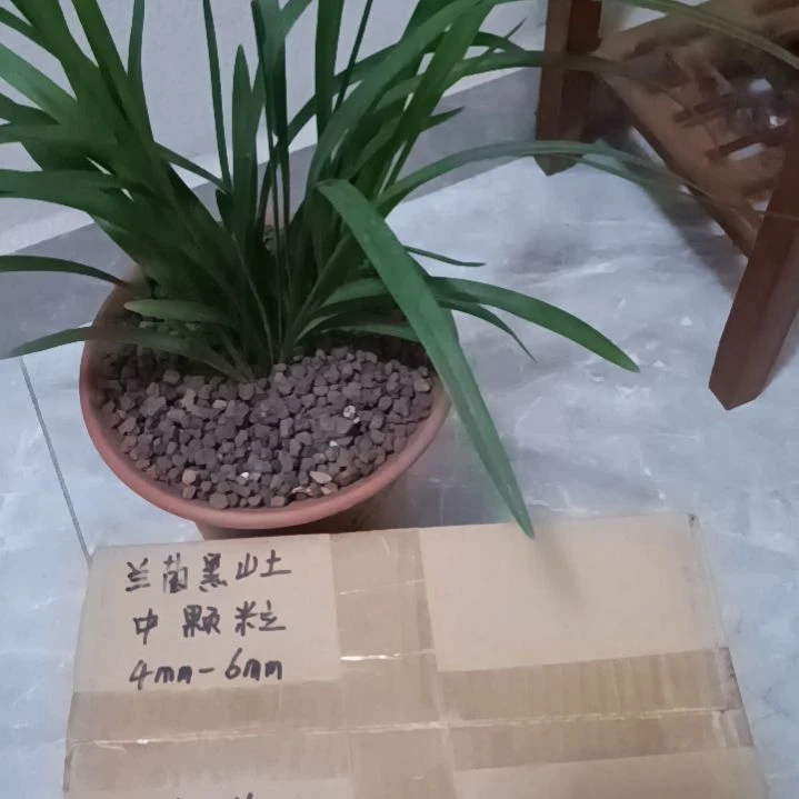 独***语兰菌颗粒中颗粒6.6斤