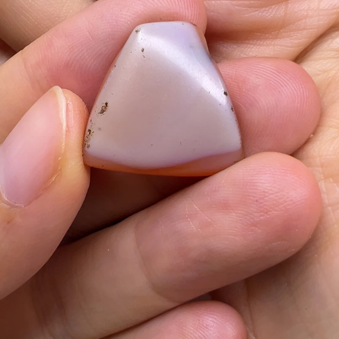 直发专拍专用链接