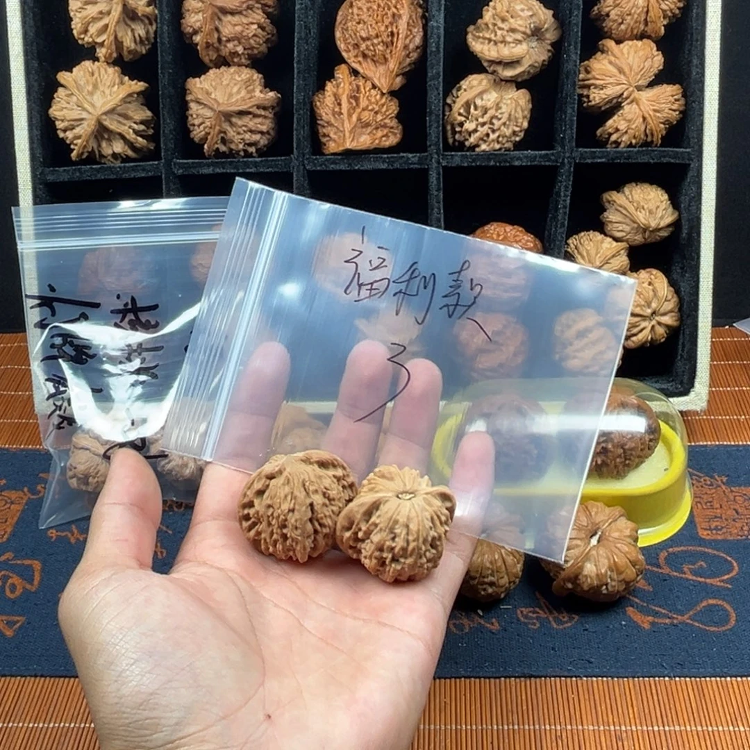 核桃哈哈哈哈哈哈哈哈哈哈