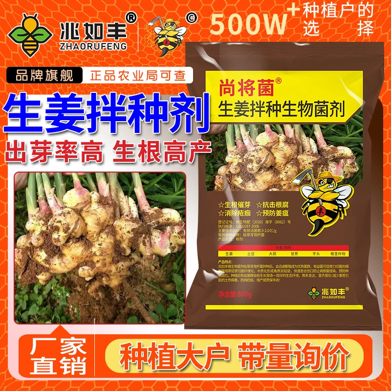 兆如丰生姜拌种剂升级提高出芽率生根壮苗不烂种高产微生物包衣剂