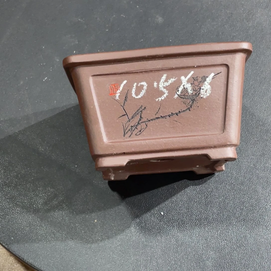 花盆紫砂我们都在