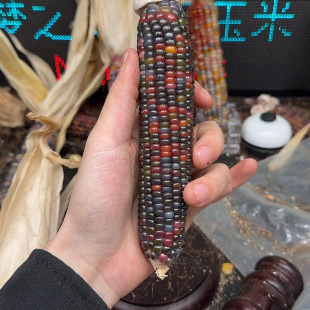 柏香籽/百香籽吊坠1*