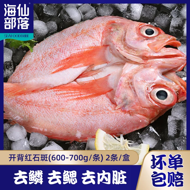 【1盒/2盒任选】开背红石斑鱼600-700g/条 去鳞去鳃去内脏开袋即烹