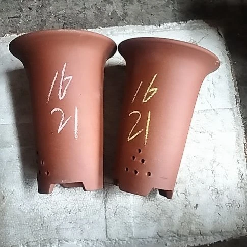 小红兰花两个微瑕