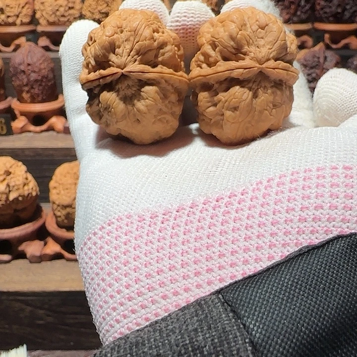 核桃老树九五蟾王十八包43尺