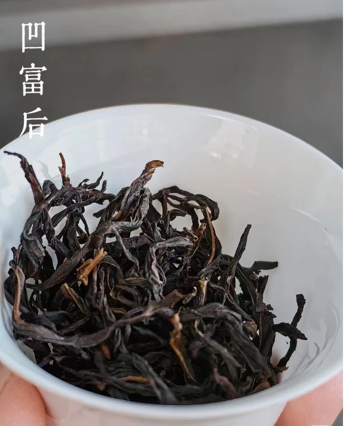 凤凰单丛.凹富后（收茶链接）