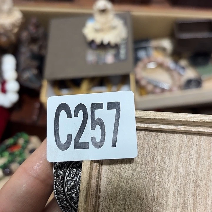 ヅ***川木257…………………………………………