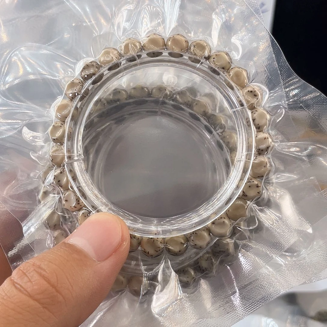 吊坠星月菩提巧克力无相河豚8