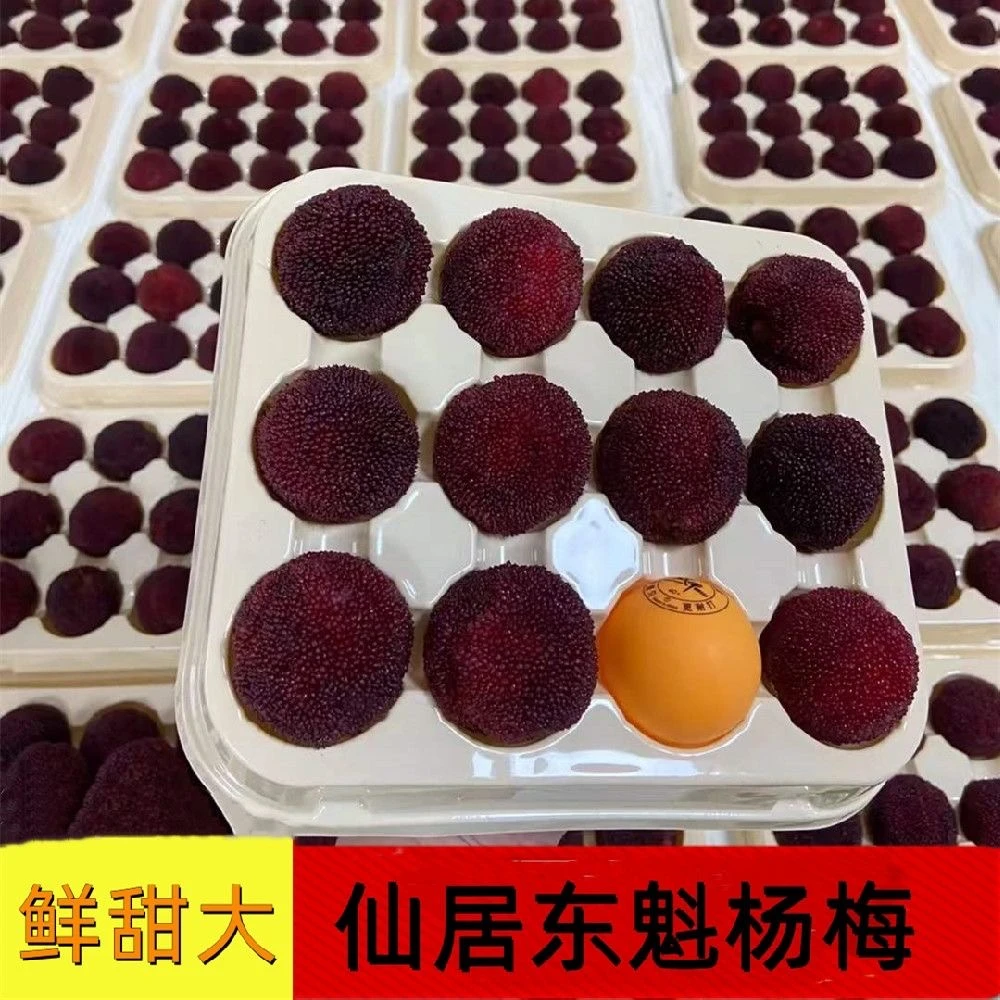【8A仙居东魁】仙居杨梅水果新鲜采摘孕妇整箱鲜果颗粒包装冷链空运
