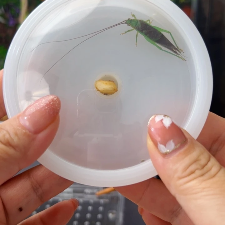 泰*哈哈哈哈哈哈哈哈