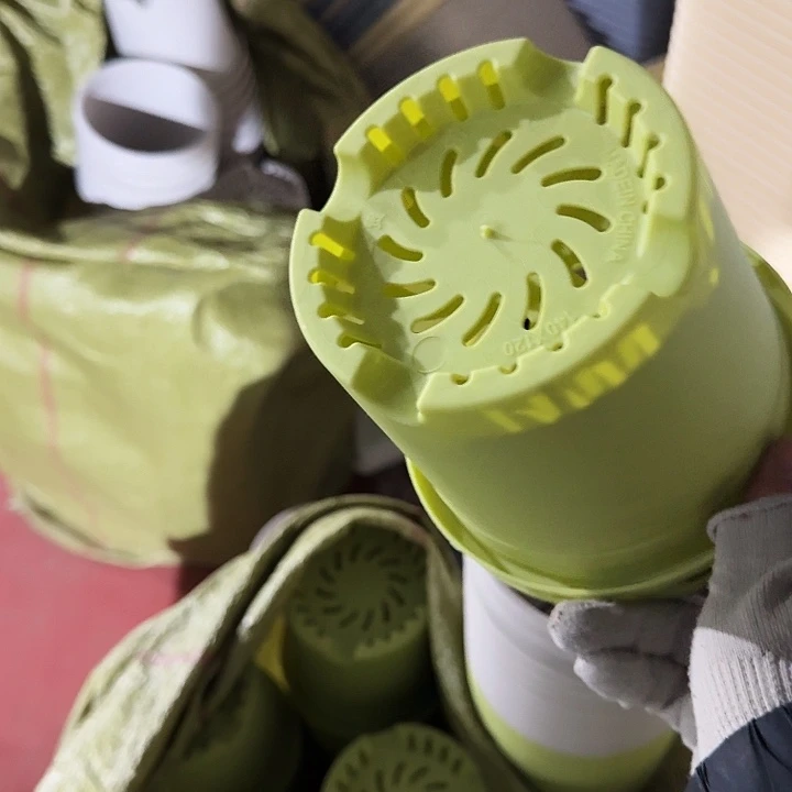 口径14果绿100个无托果绿特价